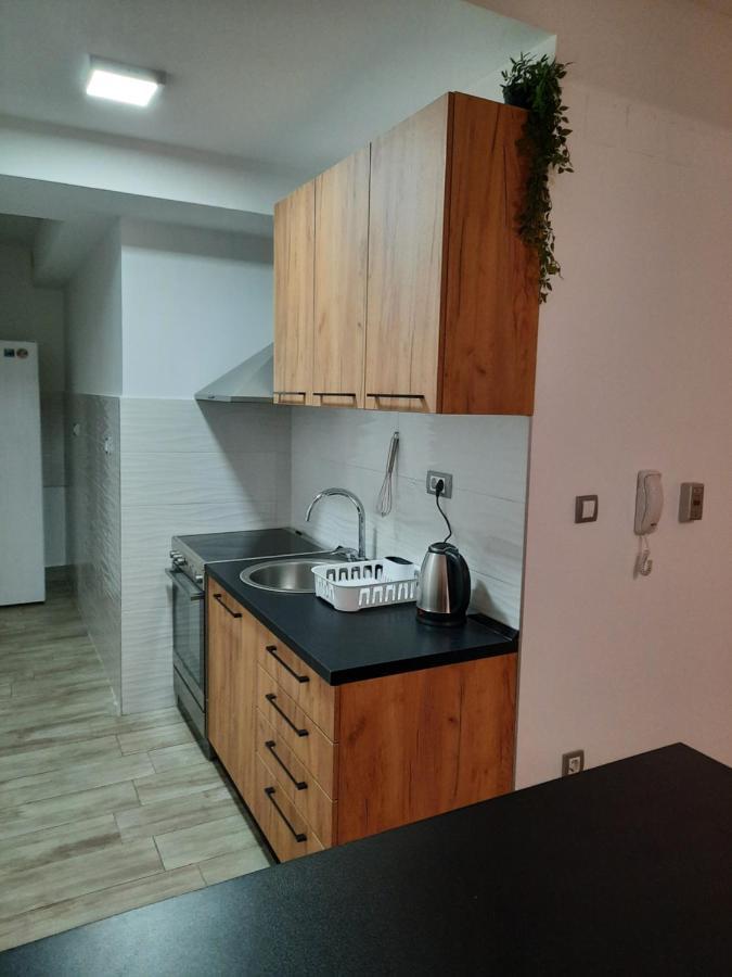 Apartman 57 Daire Belgrad Dış mekan fotoğraf